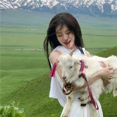 奔向骄阳